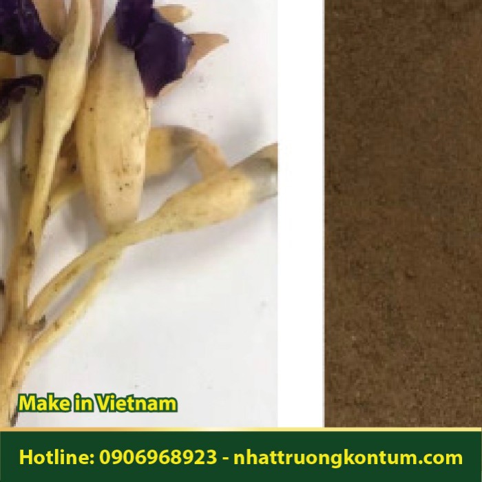 Bột Cây Lệ Dương - Aeginetia indica Powder - Túi 1kg