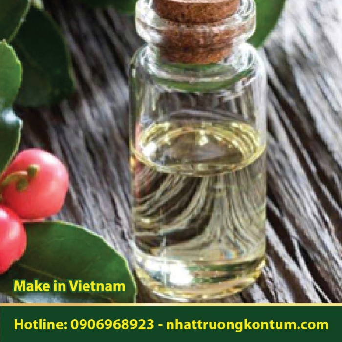 Tinh Dầu Lộc Đề - Gaultheria procumbens Oil - 10ml
