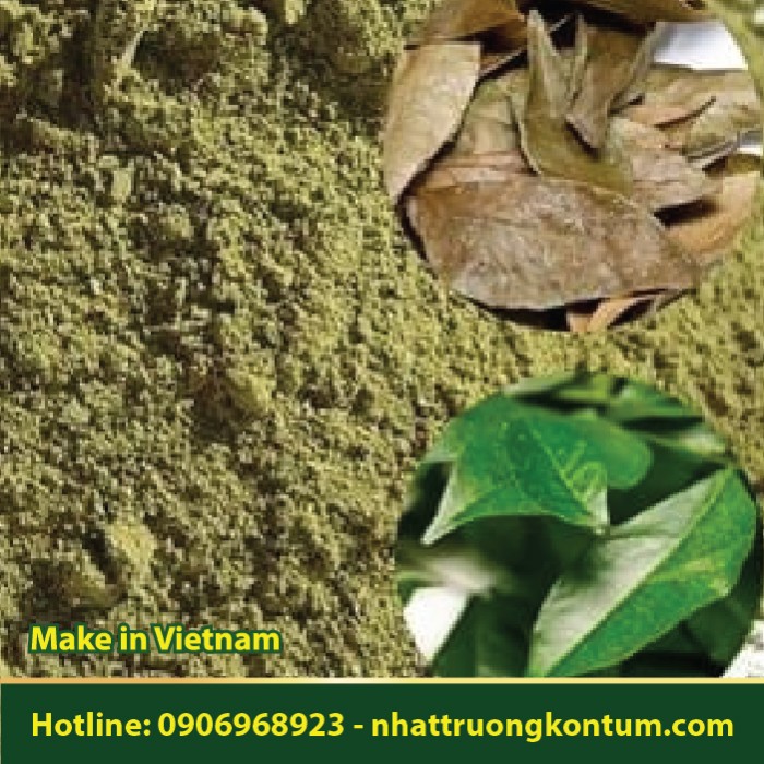 Bột Lá Mắc Mật - Móc Mật - Clausena indica Powder - Túi 1kg