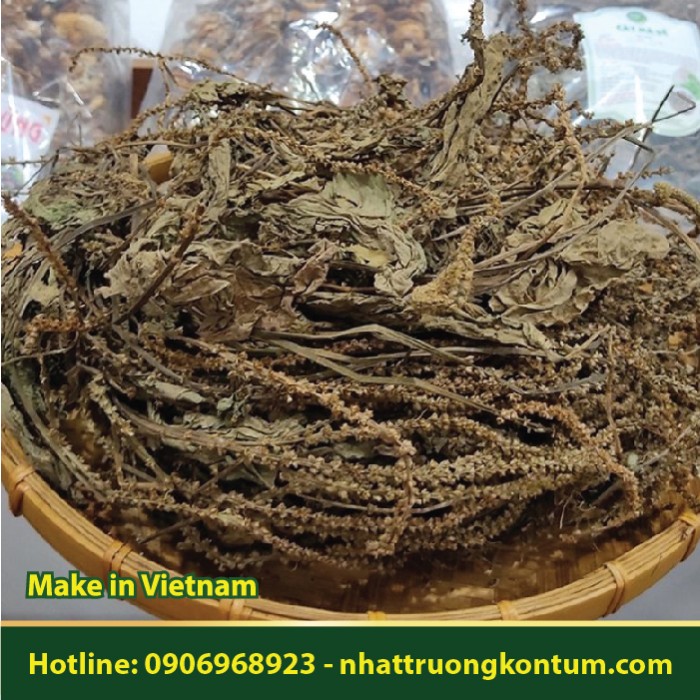 Lá Mã Đề - Plantago major Dried Vietnam - Túi 1kg