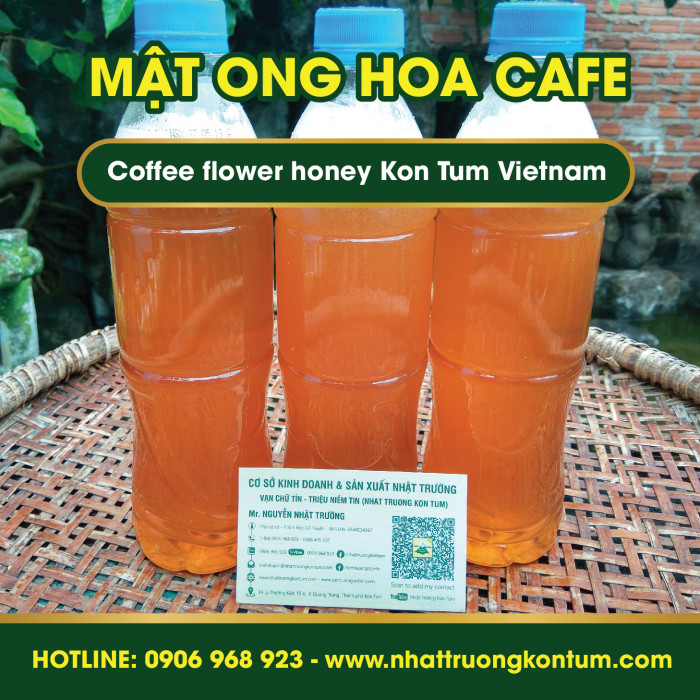 Mật Ong Hoa Cafe Nguyên Chất - Coffee Flower Honey Kon Tum Vietnam - 1000ml