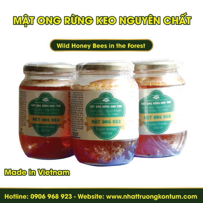 Mật Ong Rừng Keo Nguyên Chất - Wild Honey Bees in the Forest - 500ml