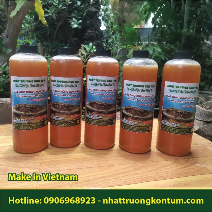 Mật Ong Rừng Kon Tum Nguyên Chất - Wild Honey Bees in the Forest - Bee Natural Honey - 500ml