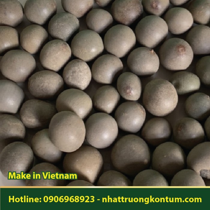 Hạt Mắt Mèo - Đậu Mèo Rừng - Mucuna pruriens - Túi 1kg