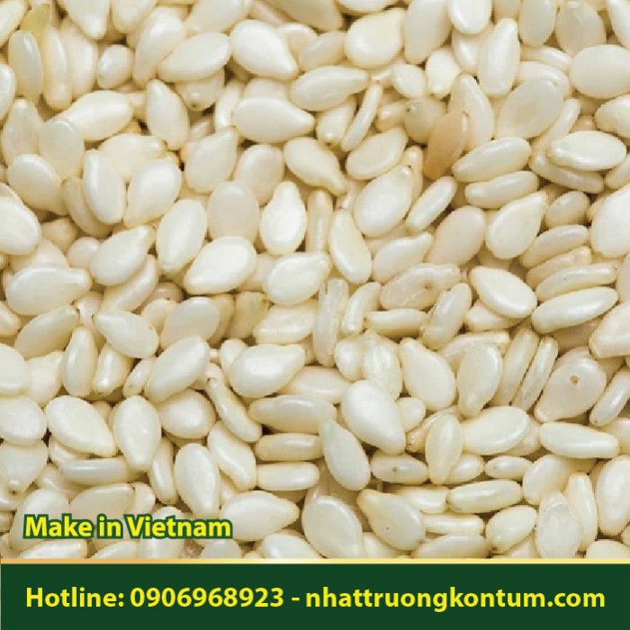 Mè Trắng - Vừng Trắng Nhật Trường Kon Tum - Seed Sesamum indicum White Vietnam - Túi 1kg