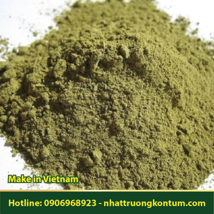 Bột Ngải Cửu Khô - Artemisia vulgaris Powder - Túi 1kg