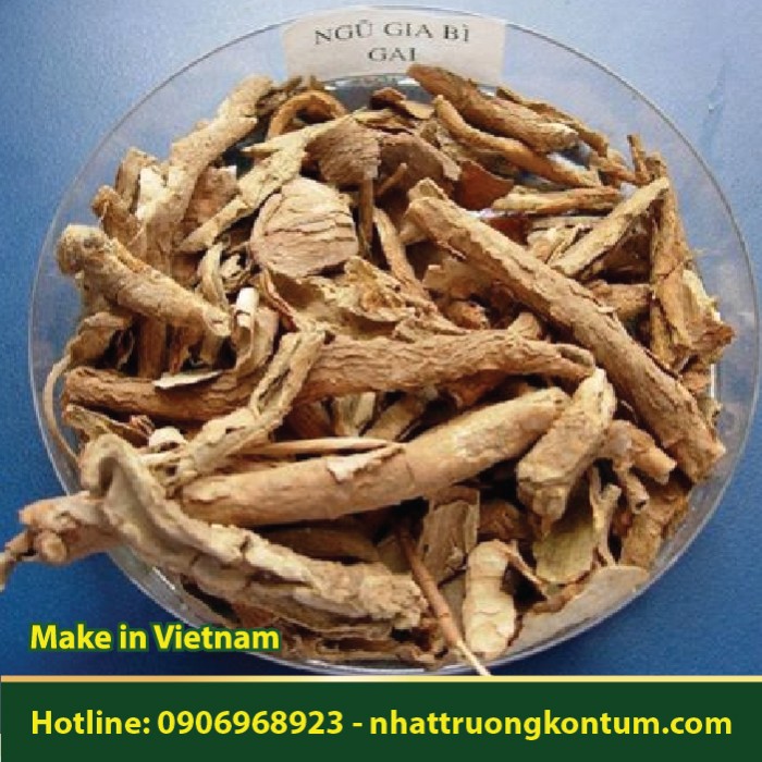 Ngũ Gia Bì Khô - Schefflera octophylla Dried Vietnam - Túi 1kg