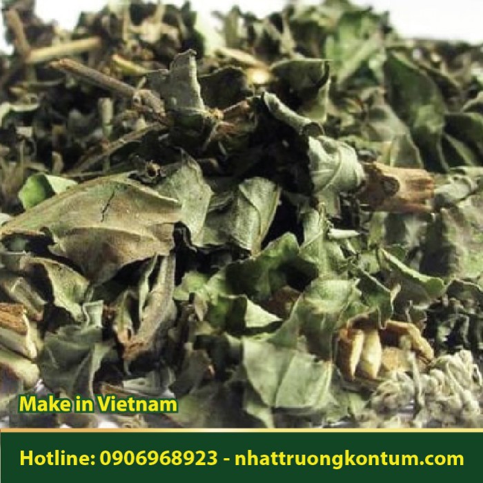 Lá Ngũ Trảo - Vitex negundo - Túi 1kg