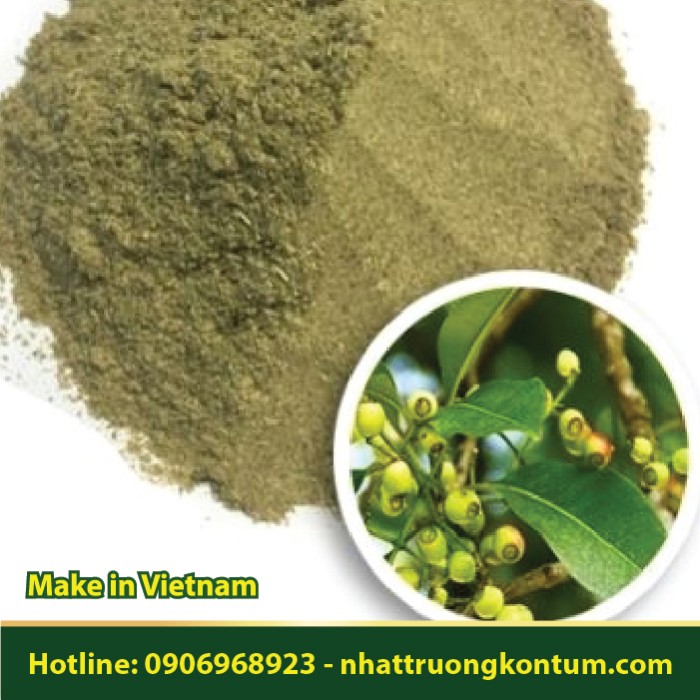 Bột Nụ Vối - Cleistocalyx operculatus Powder Vietnam - Túi 1kg
