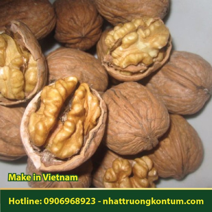 Nhân Óc Chó - Juglans - Túi 1kg