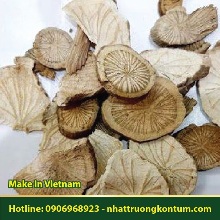 Phòng Kỷ Khô - Stephania tetrandra - Túi 1kg