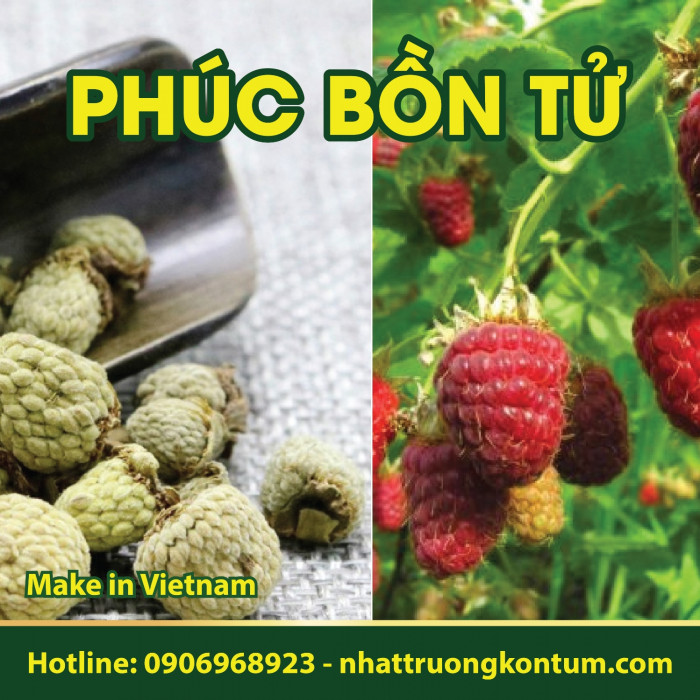 Phúc Bồn Tử - Quả Mâm Xôi Khô Nhật Trường Kon Tum - Rubus idaeus - Raspberry Dried - Túi 1kg