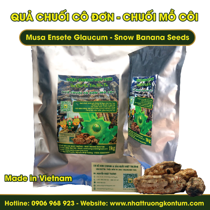 Quả Chuối Cô Đơn Kon Tum - Musa Ensete Glaucum - Snow Banana Seeds - Túi 1kg