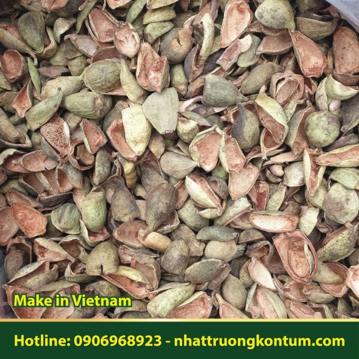 Quả Trâu Cổ Khô Nhật Trường Kon Tum - Ficus pumila Dried Vietnam - Túi 1kg