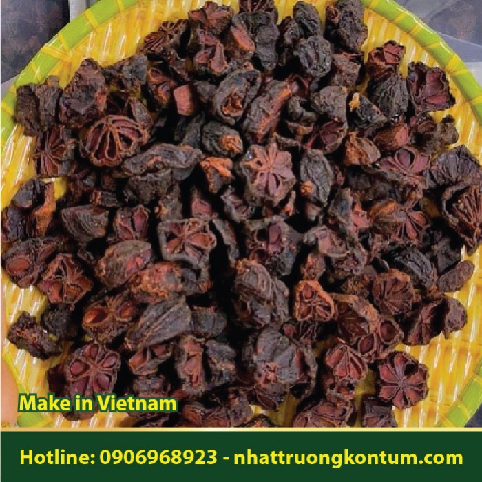 Quả Bứa Khô - Garcinia obiongifolia Dried Vietnam - Túi 1kg