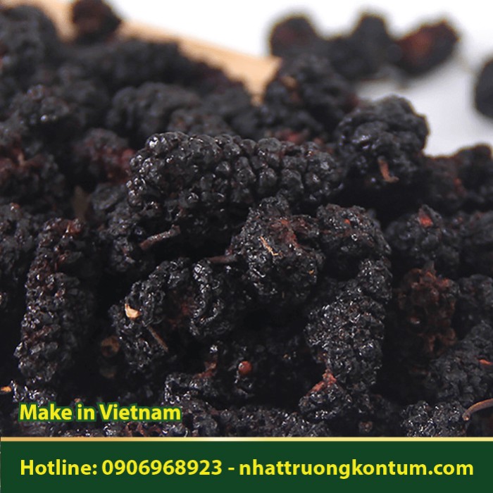 Quả Dâu Tằm Khô - Tang Thầm Tử - Morus alba Vietnam - Túi 1kg