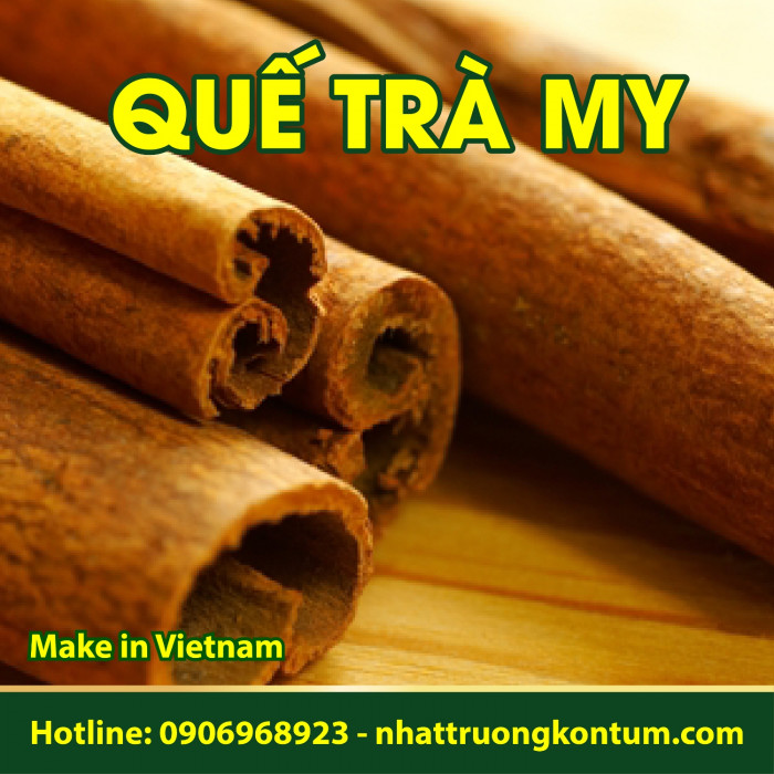 Quế Chi Trà My Nhật Trường Kon Tum - Cinnamomum cassia Presl Vietnam - Túi 0.5kg