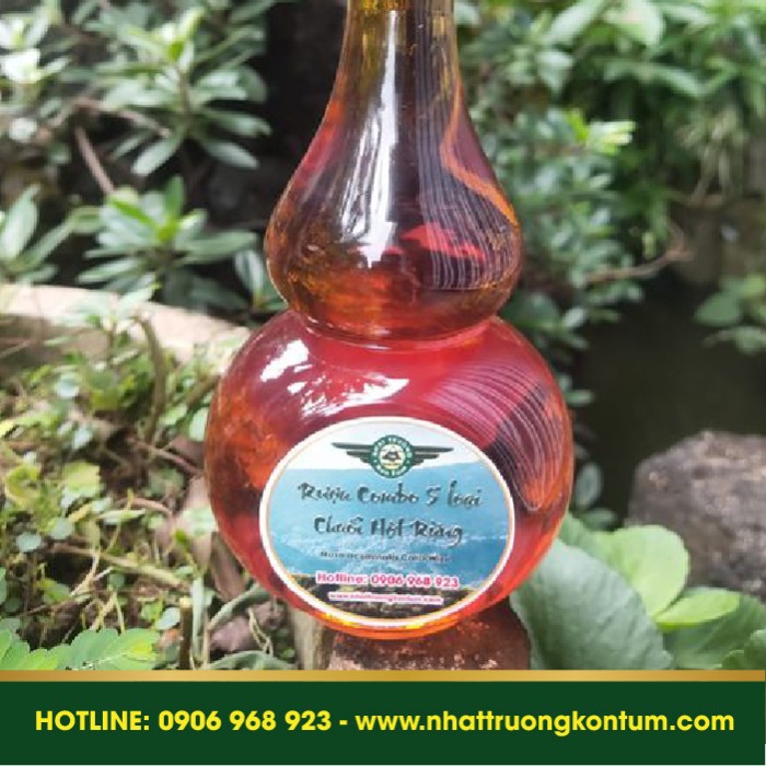 Rượu 5 Loại Chuối Hột Rừng Nhật Trường Kon Tum - Musa acuminata Colla wine - Chai 0.5 lít