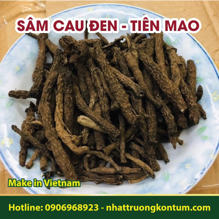 Sâm Cau Đen - Sâm Tiên Mao Nhật Trường Kon Tum - Rhizoma Curculiginis - Túi 1kg