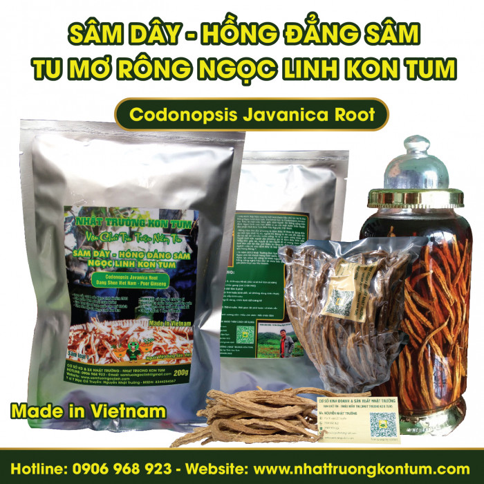 Sâm Dây (Hồng Đẳng Sâm) Tu Mơ Rông Ngọc Linh Kon Tum - Codonopsis Javanica - Loại 1 (Cỡ To) - Túi 1kg