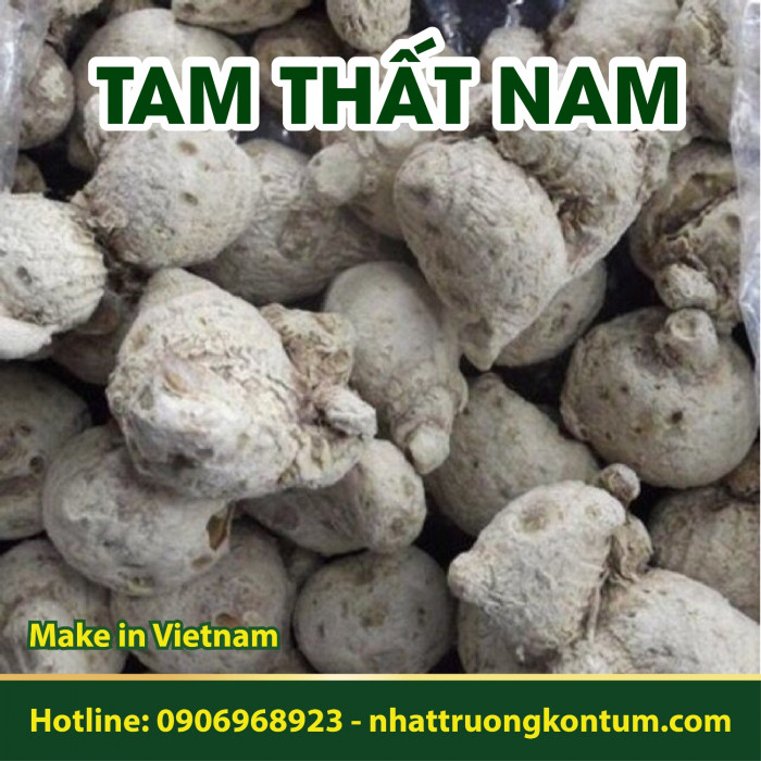 Tam Thất Nam Nhật Trường Kon Tum - Stahlianthus thorelii Gagnep Vietnam - Túi 1kg
