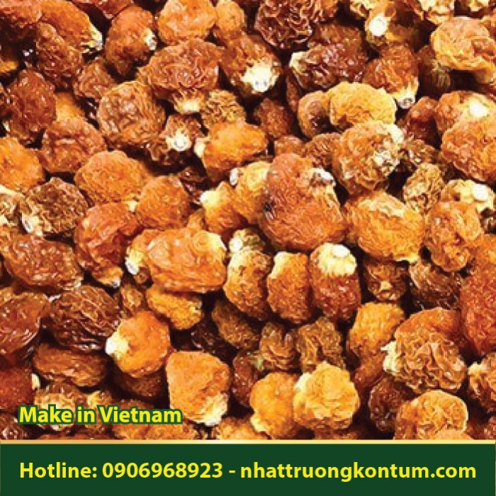 Quả Tầm Bóp Khô - Physalis angulata Fruit Dried - Túi 1kg