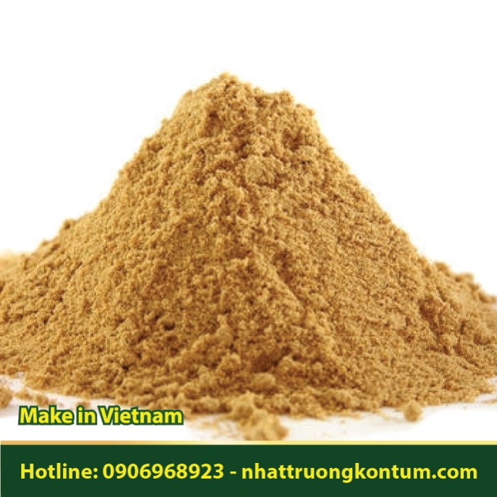 Bột Tang Ký Sinh - Taxillus gracilifolius Powder Vietnam - Túi 1kg