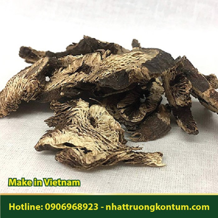 Thăng Ma Khô - Cimicifuga foetida - Túi 1kg