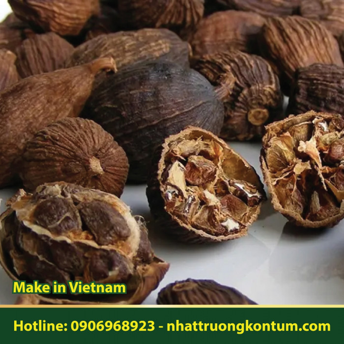 Thảo Quả Đỏ - Amomum tsao-ko - Terminalia chebula - Túi 1kg