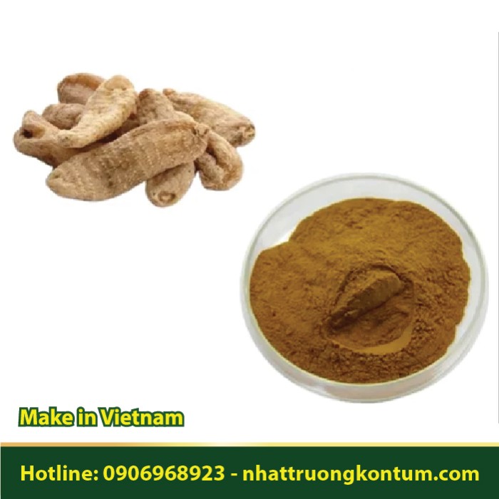 Bột Thiên Ma - Gastrodia elata Blume Powder - Túi 1kg
