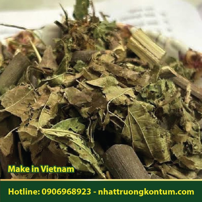 Cây Thóc Lép - Desmodium gangeticum - Túi 1kg