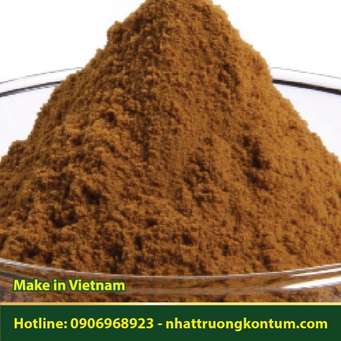 Bột Thông Đất - Lycopodiella cernua Powder Vietnam - Túi 1kg
