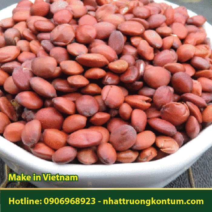 Toan Táo Nhân - Hạt Táo Ta Chưa Rang - Ziziphus jujuba Lamk - Túi 0.5kg