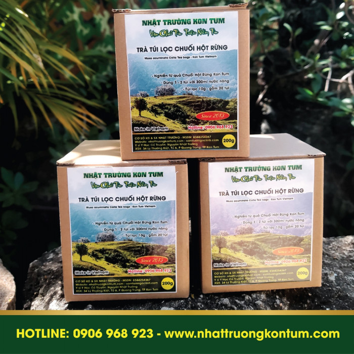 Trà Túi Lọc Chuối Hột Rừng Kon Tum - Musa acuminata Colla Kon Tum Vietnam Tea Bags - Túi 200g