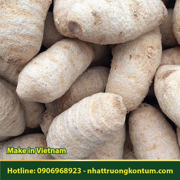 Trạch Tả Khô - Alisma plantago Dried Vietnam - Túi 1kg