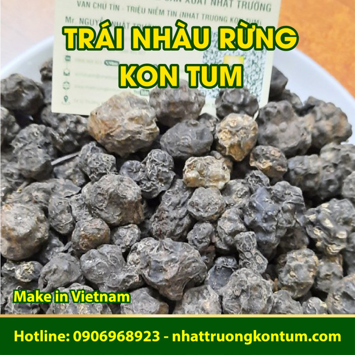 Trái Nhàu Rừng - Nhàu Núi Kon Tum - Morinda citrifolia Vietnam - Túi 1kg