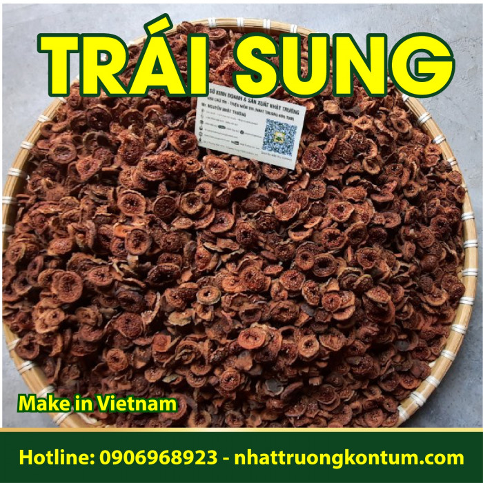 Trái Sung Rừng Nhật Trường Kon Tum - Ficus racemosa - Túi 1kg