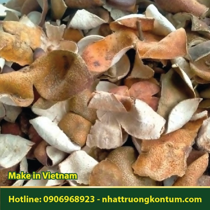 Trần Bì Khô (Vỏ Mỏng) - Pericarpium Citri reticulatae Dried Vietnam - Túi 1kg