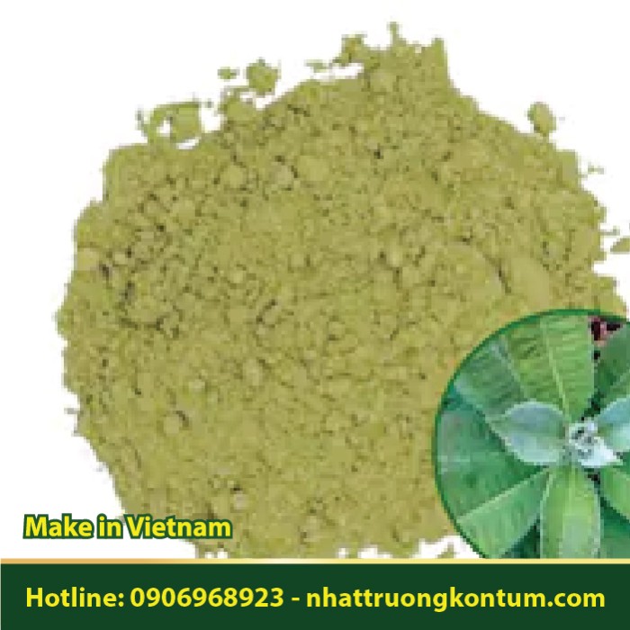 Bột Cây Từ Bi - Blumea balsamifera Powder - Túi 1kg
