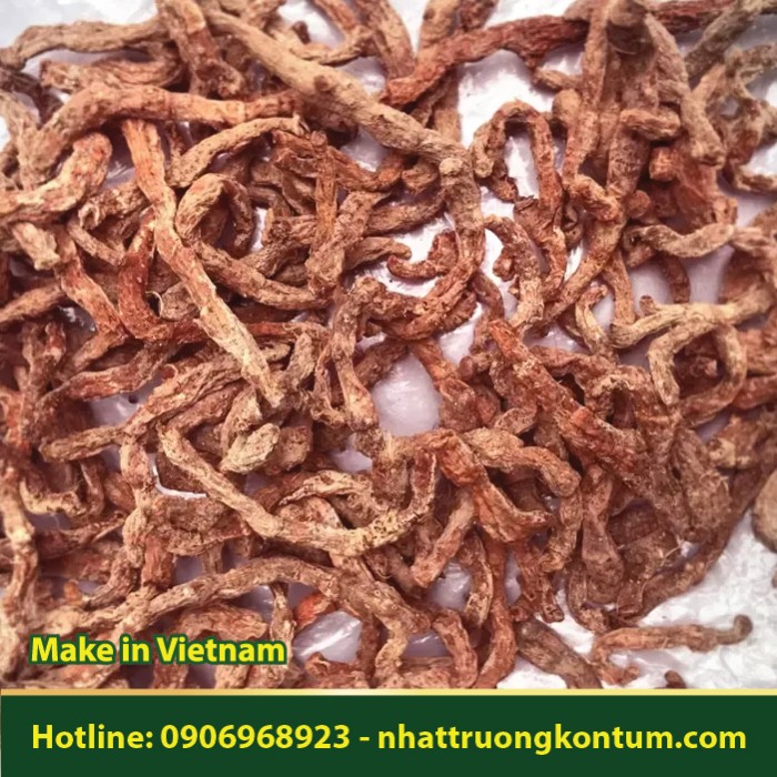 Rễ Tứn Khửn - Chí Chuông Chua - Ngũ Vị Tử Nam - Kadsura coccinea Root Dried - Túi 1kg