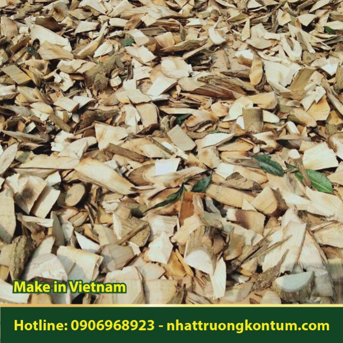 Ưng Bất Bạc - Muồng Truổng - Hoàng Mộc Dài - Zanthoxylum avicennae - Túi 1kg