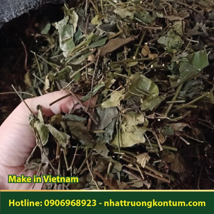 Chè Vằng - Vằng Sẻ - Vằng Sẻ Lá Nhỏ - Jasminum subtriplinerve - Túi 1kg
