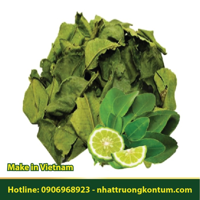 Lá Chanh Khô - Citrus aurantifolia Leaf Dried Vietnam - Túi 1kg
