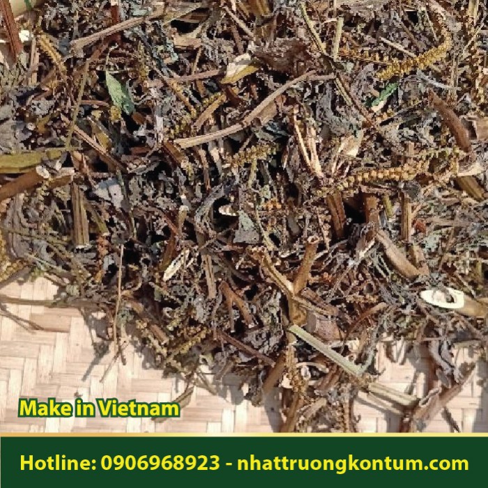 Vòi Voi Khô - Heliotropium indicum - Túi 1kg