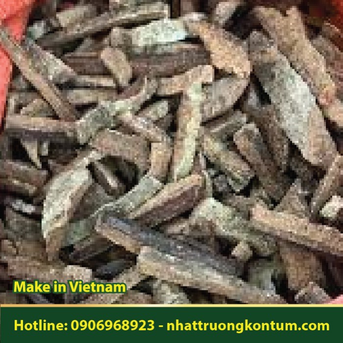 Vỏ Cây Rụt - Cây Dụt - Toddalia asiatica - Túi 1kg
