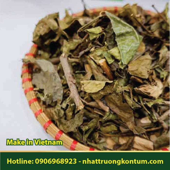 Xạ Đen Khô Nhật Trường Kon Tum - Celastrus hinsii Benth Vietnam - Túi 1kg