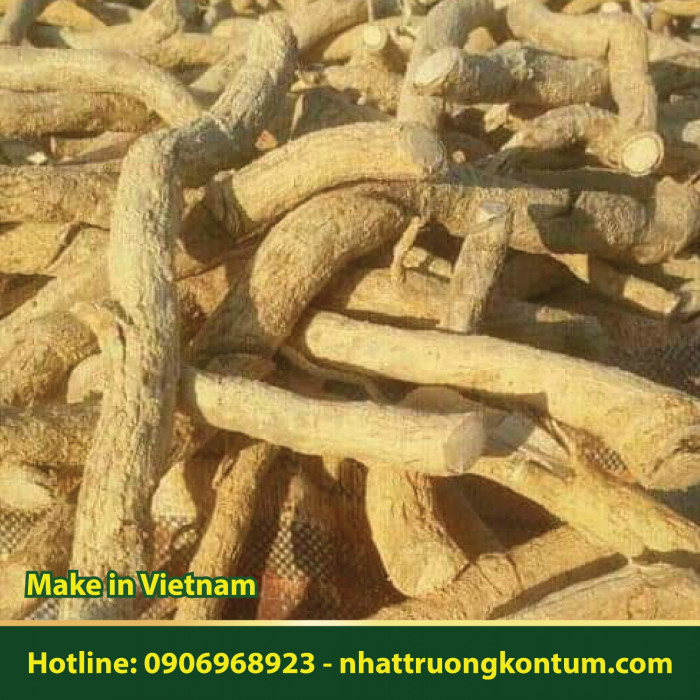 Xáo Tam Phân Nhật Trường Kon Tum - Paramignya trimera Vietnam - Túi 1kg - (Khai thác Rễ)