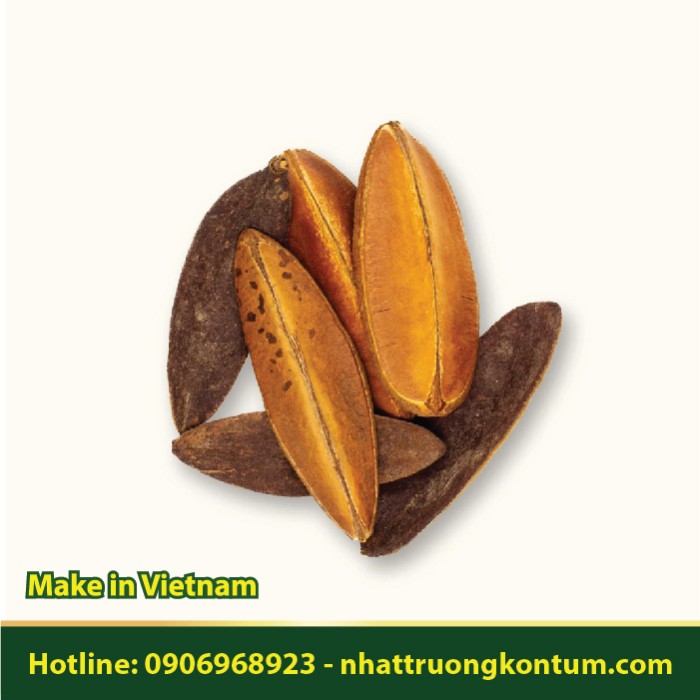 Xương Rồng Khô - Euphorbia antiquorum - Túi 1kg