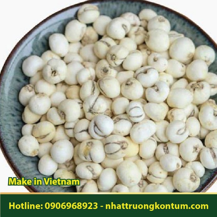 Xuyên Bối Mẫu - Fritillaria cirrhosa - Túi 0.5kg
