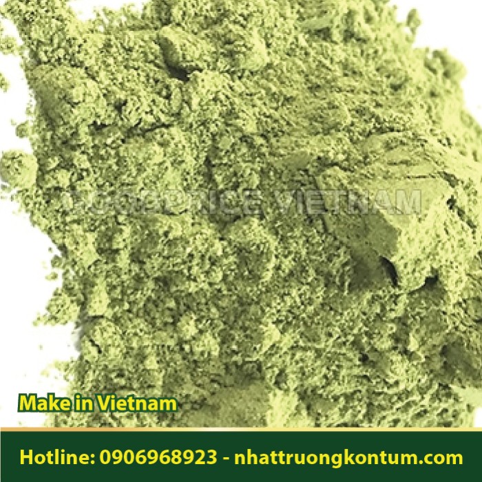 Bột Bạc Hà Dại Hà Giang - Elsholtzia cypriani Powder - Túi 1kg